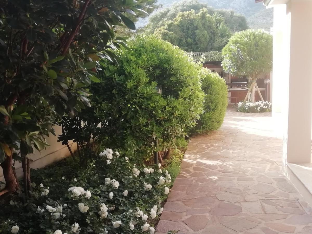 Casa Vacanze Villa Rosa カーラゴノネ エクステリア 写真