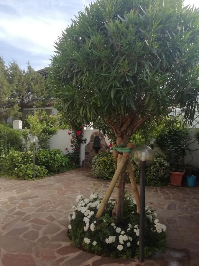 Casa Vacanze Villa Rosa カーラゴノネ エクステリア 写真