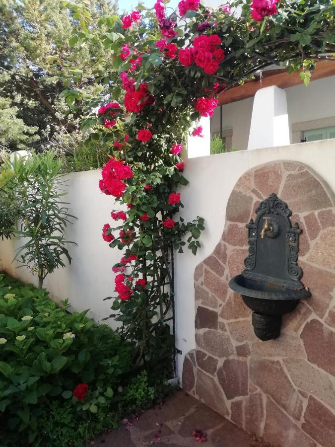 Casa Vacanze Villa Rosa カーラゴノネ エクステリア 写真