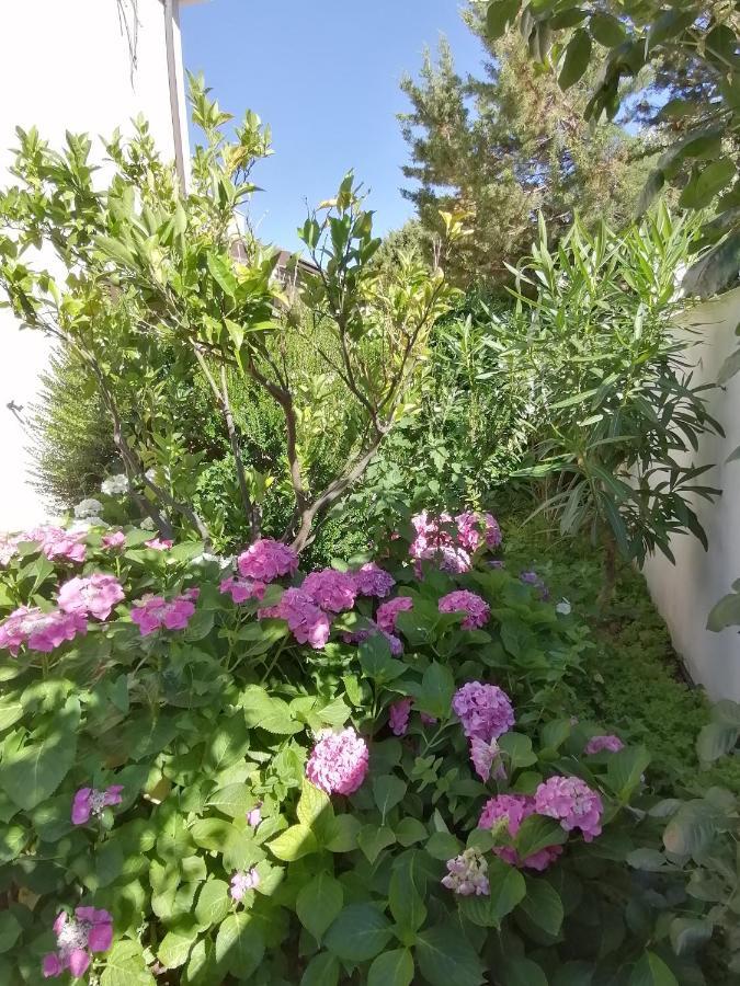 Casa Vacanze Villa Rosa カーラゴノネ エクステリア 写真