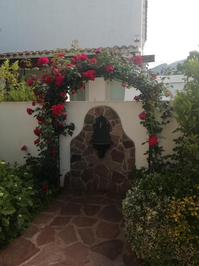 Casa Vacanze Villa Rosa カーラゴノネ エクステリア 写真