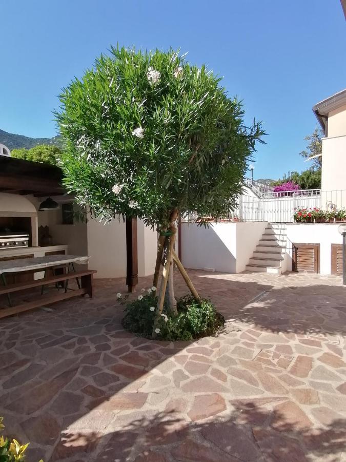 Casa Vacanze Villa Rosa カーラゴノネ エクステリア 写真